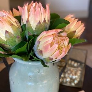 Meet your Posher, Kathryn